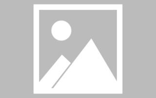 海盐论文网站建设（网站建设的论文）